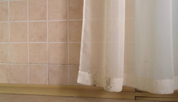 Best Dehumidification Services  in Vineland, NJ