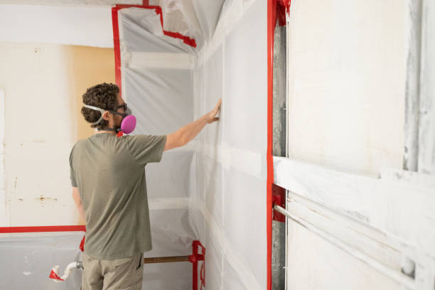 Best Mold Documentation for Insurance Claims  in Vineland, NJ
