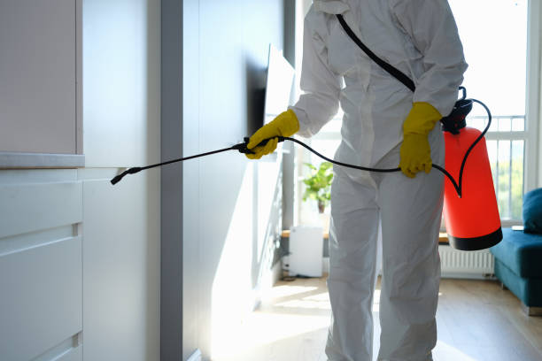 Best Industrial Mold Remediation  in Vineland, NJ