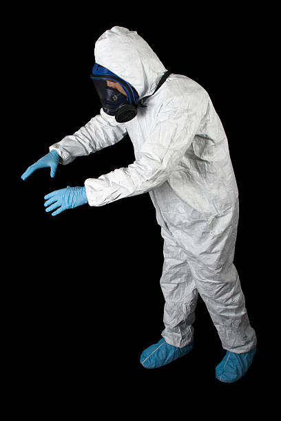 Best Basement Mold Removal  in Vineland, NJ