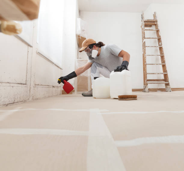 Best Black Mold Removal  in Vineland, NJ