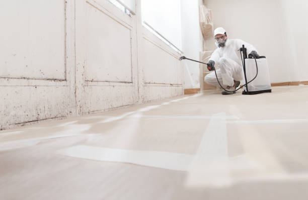 Best Mold Odor Removal Services  in Vineland, NJ