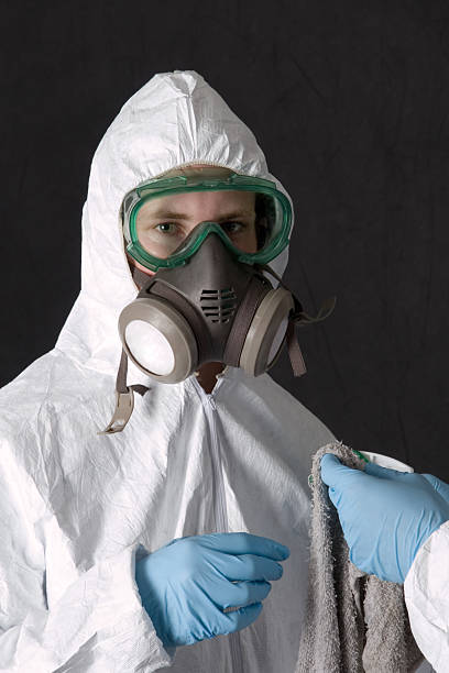 Best Residential Mold Inspection & Testing  in Vineland, NJ